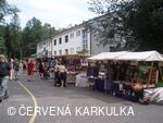 Setkání Jeníčků a Mařenek 2009