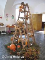 Výstava ovoce, zeleniny a květin